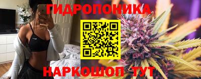 каннабис Новодвинск