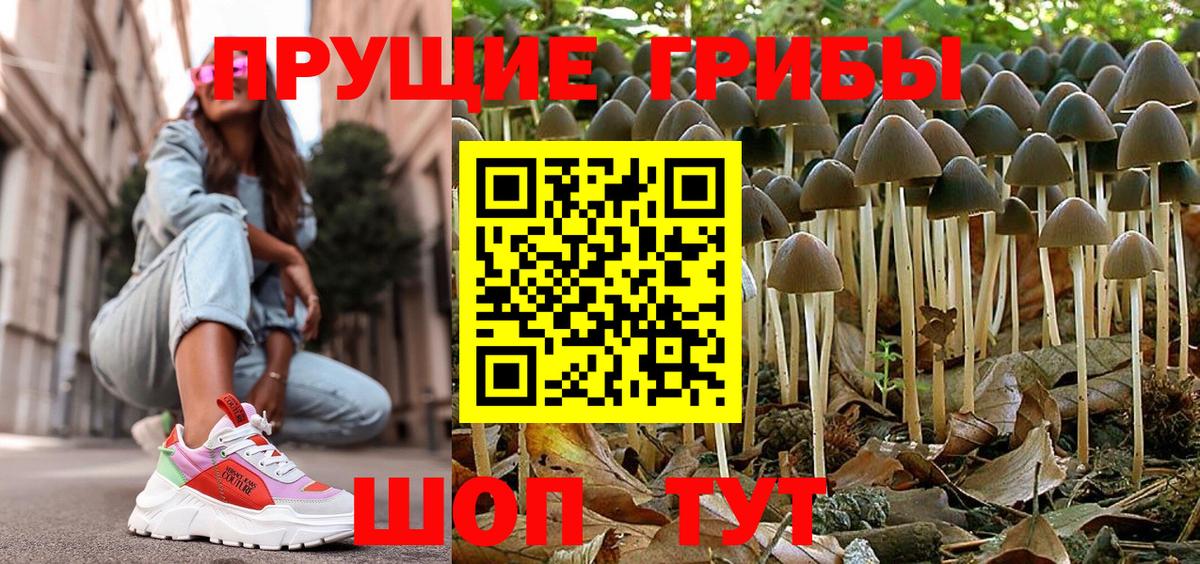 Галлюциногенные грибы мухоморы  Вход с VPN  Хабаровск  Галлюциногенные грибы мицелий 